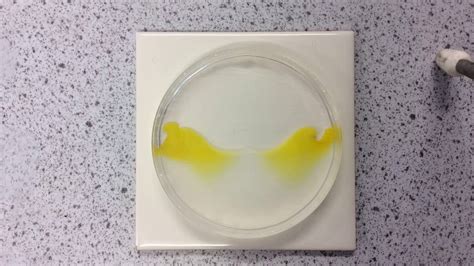 Diffusion Of Lead Nitrate And Potassium Iodide Youtube