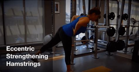 Eccentric Hamstring Exercises Eoua Blog