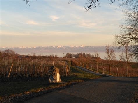 Vignes Vignoble Paysage Photo Gratuite Sur Pixabay Pixabay