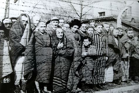 30 Imágenes Del Horror De Auschwitz Un Emblema Del Nazismo Infobae