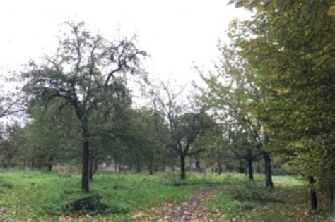 Poldertuin Zwijndrecht Regionaal Landschap Schelde Durme