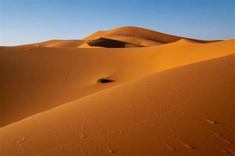 Charlotte Plans A Trip The Merzouga Desert A Camel Tour And Camping