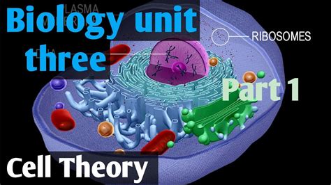 Biology Unit Three Part One Cell Theory Remedial Biology Youtube