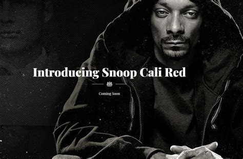 Snoop Dogg's $12 Wine Is Finally Something To Look Forward To | CafeMom.com