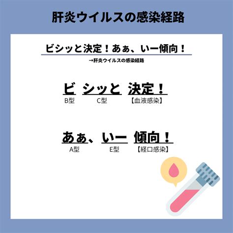 肝炎ウイルスの感染経路のゴロ 薬学note