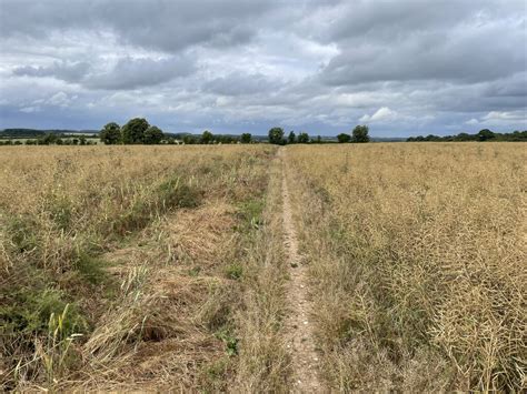 Path Towards Bazeley Copse Mr Ignavy Cc By Sa Geograph Britain