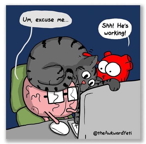 The Awkward Yeti Nick Seluk On Instagram All 4 Of These Cat Comics