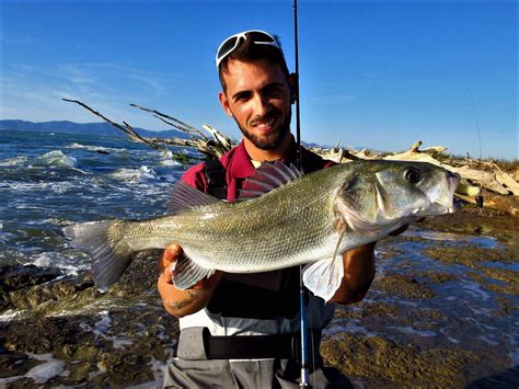 Spinning Alla Spigola Dalla Spiaggia La Strega Fishing