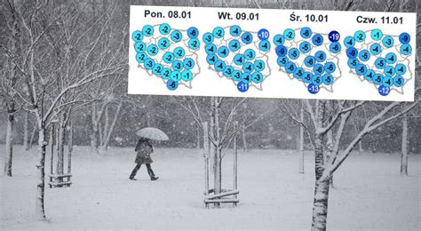 Pocz Tek Roku Pod Znakiem Prawdziwej Zimy Wr C Opady Niegu I