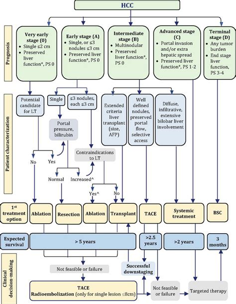 Liver Transplantation An Updated Criteria Selection For Hcc Intechopen