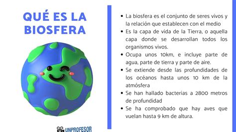 Qué Es La Biosfera Para Niños Con Vídeos