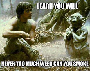 Top Funny Cannabis Memes - ISMOKE