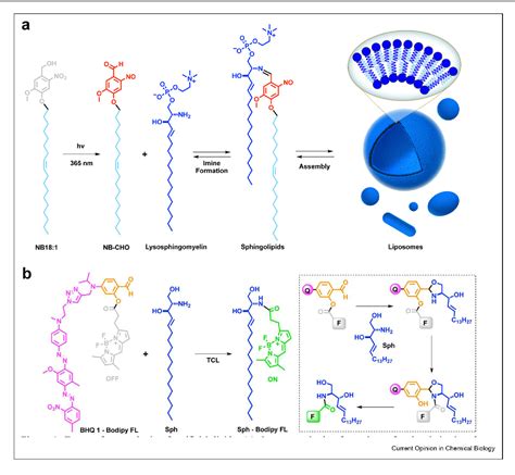 Figure 4 From In Situ Synthesis Of Artificial Lipids Semantic Scholar