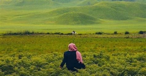 The Enchantment Of The Beauty Of Teletubbies Hill Tourism Bromo