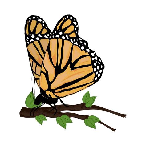 Butterfly On Branch Tree Vector Art At Vecteezy