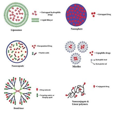 Drug delivery nanoparticles. [61] | Download Scientific Diagram