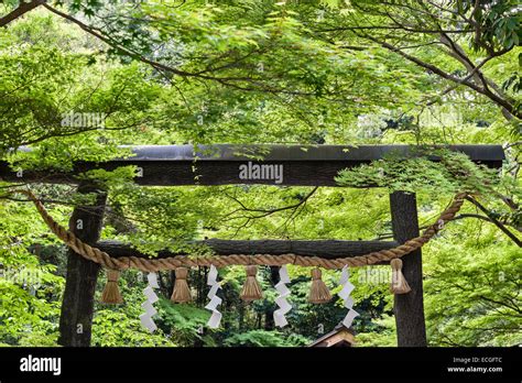 A Sacred Rice Straw Rope Shimenawa Marks The Entrance To A Shinto