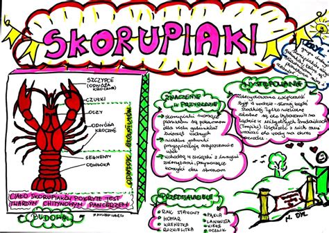 Klasa 6 Biologia Skorupiaki karta pracy kolorowa Złoty nauczyciel