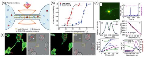 Membranes Free Full Text Emerging Diamond Quantum Sensing In Bio