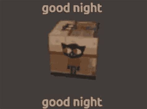 Nitw Mae Borowski Nitw Mae Borowski Good Night Mae Discover