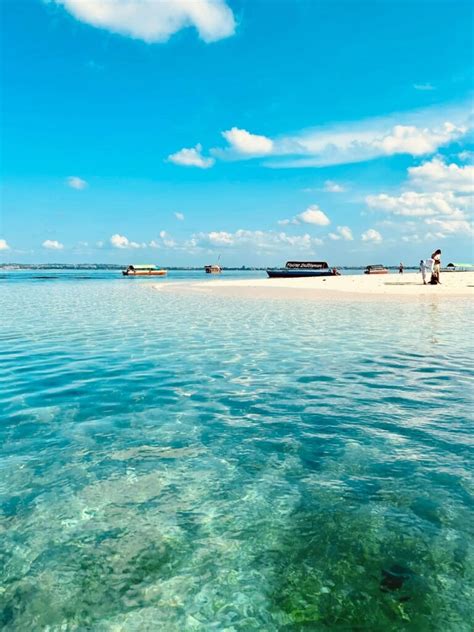 Zanzibar Snorkeling Guide Best Spots And Tours 2024
