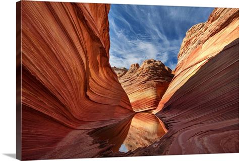 Arizona Paria Canyon Vermilion Cliffs Wilderness The Wave Coyote