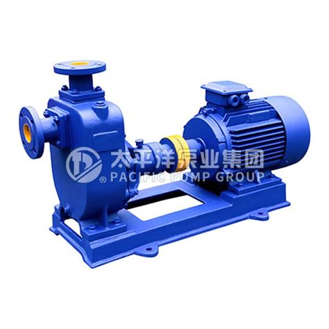 Zw Zx Series Horizontal Self Priming Centrifugal Pump China