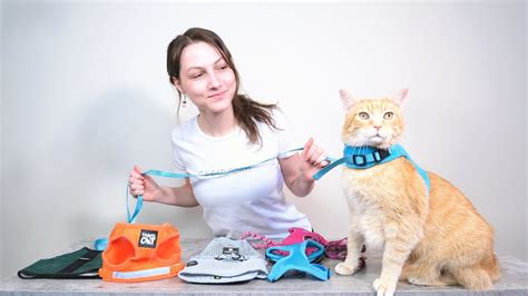 Top 5 Best Cat Harnesses We Tried Them All Youtube