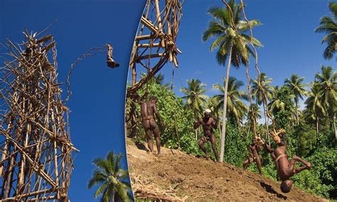 'Land Diving' ritual sees tribesman bungee just inches from the ground ...