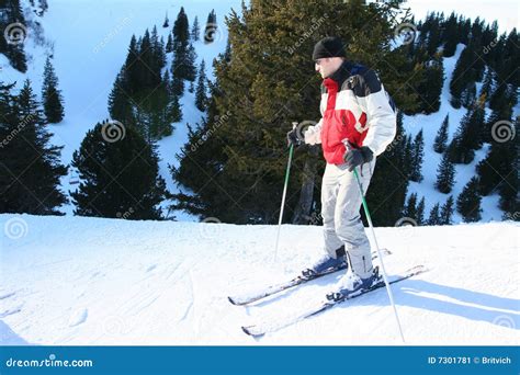 Skiing training stock image. Image of shining, alps, snow - 7301781