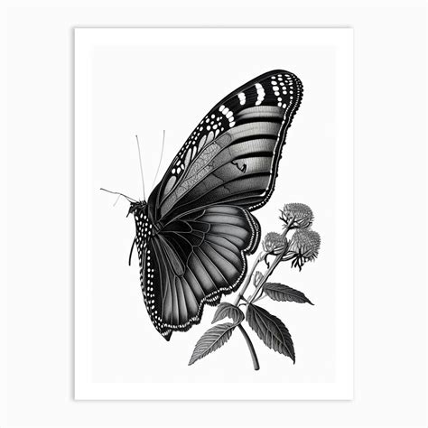 Black Swallowtail Butterfly Andy Warhol Inspired 2 Art Print By