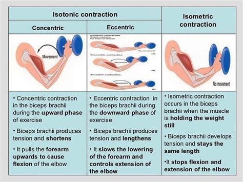 NPTE StudyBuddy On Instagram Isotonic Contraction Vs Isometric