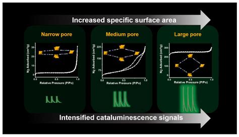 Chemosensors Free Full Text Screening The Specific Surface Area For