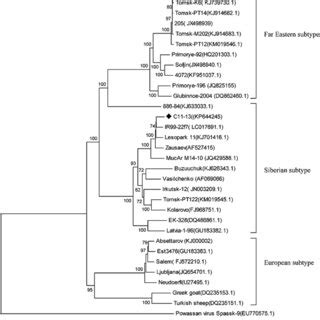 The Phylogenetic Tree For The Complete Genomic Tbev Sequences