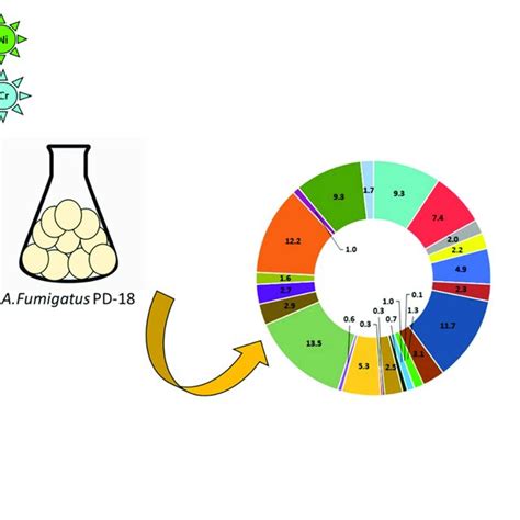 Summary Of The Salient Mechanism Of Multimetal Detoxification Process