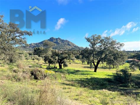 Quintas E Casas R Sticas Quintinha Venda Em Monsanto E Idanha A