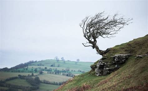 4 Night Brecon Beacons Christmas And New Year Guided Walking Hf Holidays