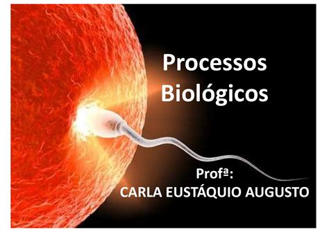 Aula Dna E Rna Sdfghuj Processos Biol Gicos Prof Carla