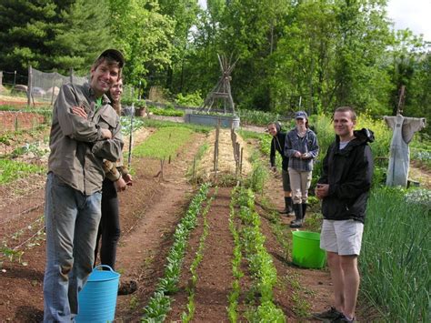 Nonprofit Garden Internships In North Carolina Beginning Farmers