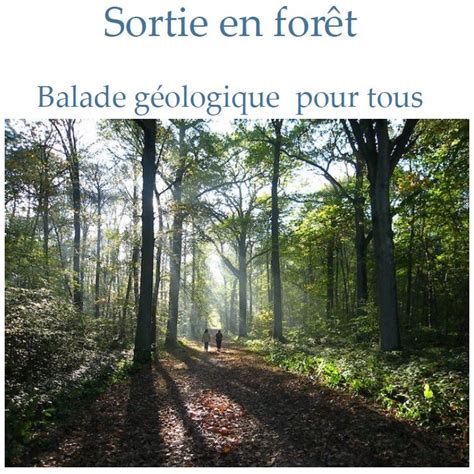 Sortie En Forêt De Montmorency Balade Géologique Avec Jean Pierre