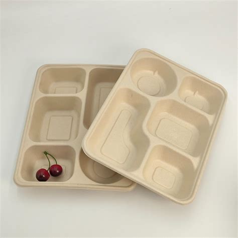 Composable Sugarcane Bagasse Food Container Biodegradable Lunch