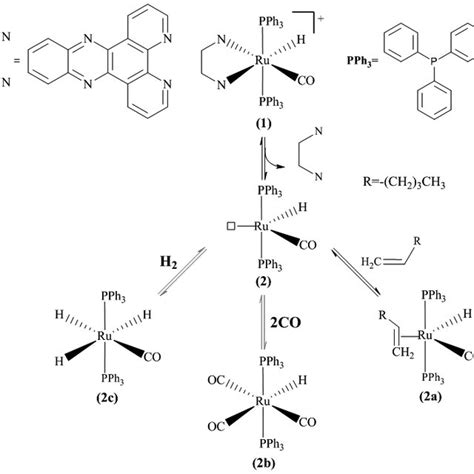 Potential Energy Profile For The Hydroformylation Reaction Of Hexene