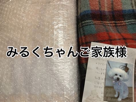 ご支援のお礼とおチビの衿（えり）ご紹介 静岡 その小さな『いのち』守りたいプロジェクト（ヴァイガムんち）