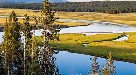 Yellowstone Lake Tours - Book Now | Expedia