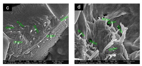 Polymers Free Full Text Combined Effects Of Cellulose Nanofiber Nucleation And Maleated