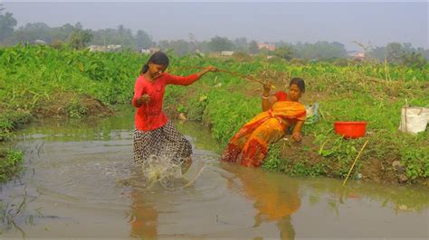 Fishing Video Expert Village Women Catching Different Types Of Fish