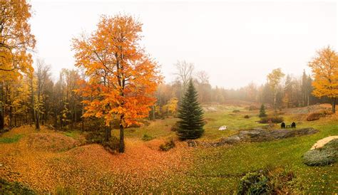 Foggy Autumn Morning | Hartford Connecticut Photographer | Corporate Editorial People Product ...