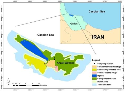 Sampling Sites In The Anzali Wetland Download Scientific Diagram