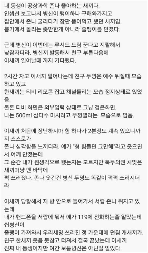 인셉션에 미친 동생 코리안탑걸 웃긴 인용구 웃긴 밈 웃긴 유머