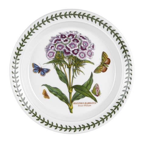 Portmeirion Botanic Garden Plates Portmeirion Botanic Garden Dinner Plates Set Of 6 Assorted